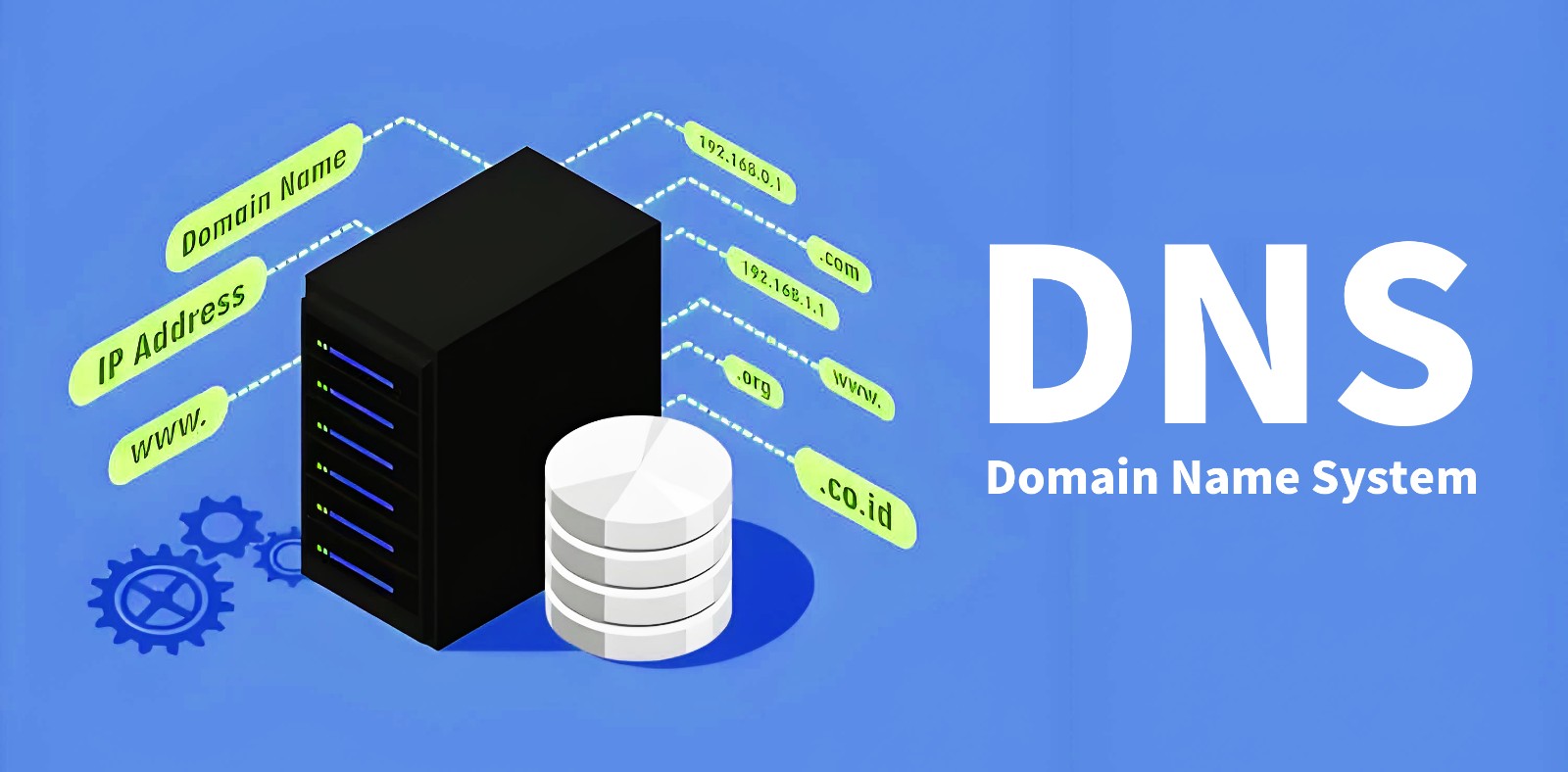 正文图A_20240715.jpg 正文图A_20240715.jpg